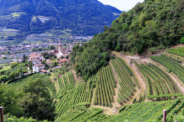 Mountain panorama with Lagundo Waalweg path and village Algund in South Tyrol, Italy