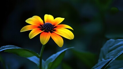Vibrant Yellow Flower in Dark Garden