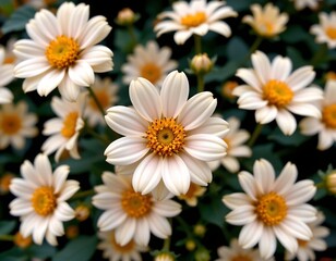 Serene Arrangement Browntoned Flowers with Blurred Background