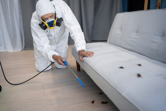 Male exterminator killing in house. Elderly man in protective suit and respirator mask spraying insecticide over roaches on floor and under sofa at home