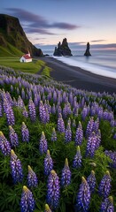 Icelandic Landscape with Lupines and Basalt Sea Stacks at Dusk.
