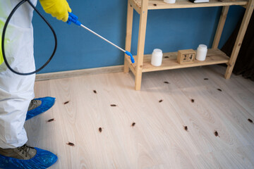 Pest control exterminating roaches. Male exterminator in protective suit and gloves spraying...