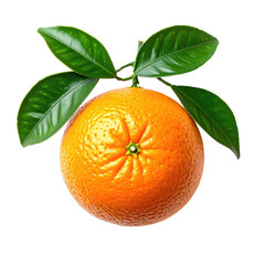 Bright orange fruit with lush green leaves on black background