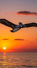 Pelican Soaring Over Ocean at Sunset - A Moment of Coastal Serenity.