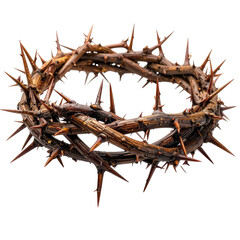 Obraz premium Detailed, realistic depiction of a crown woven with thorny branches