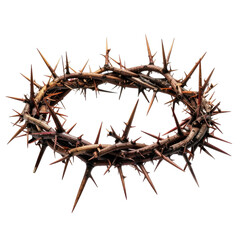 Woven wreath of thorns, a symbol of suffering, set against a dark background