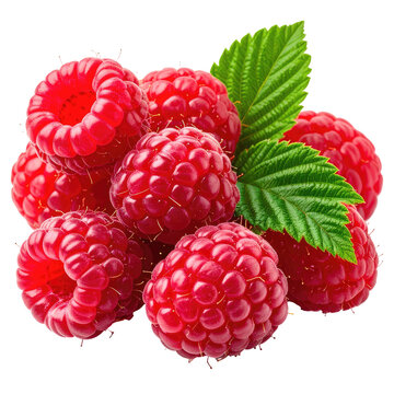 Vibrant red raspberries with green leaves. Close-up view. Juicy, fresh and healthy