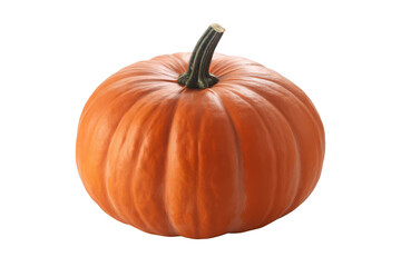 Obraz premium Pumpkin isolated on transparent background