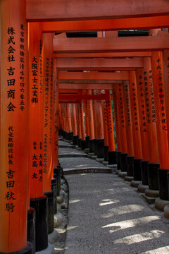 Fushimi Inari Shrine Torii Gates in Kyoto, Japan