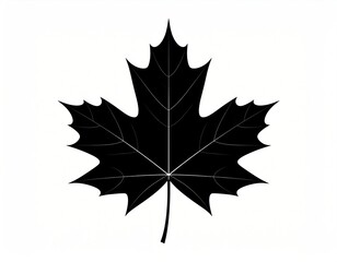 Fototapeta premium Minimalist Silhouette Black Maple Leaf Isolated on White Background Illustration
