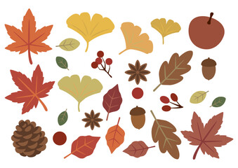 秋の実りと紅葉のベクター素材セット（どんぐり・松ぼっくり・落ち葉）