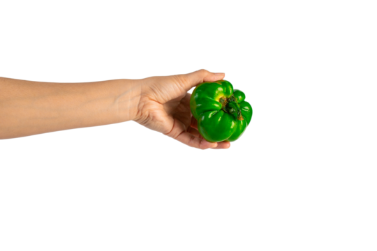 Green sweet bell pepper in hand isolated on transparent background