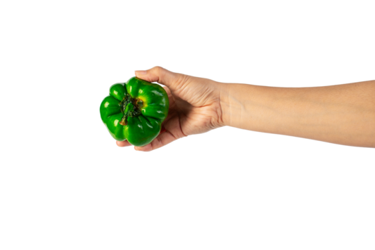 Green sweet bell pepper in hand isolated on transparent background