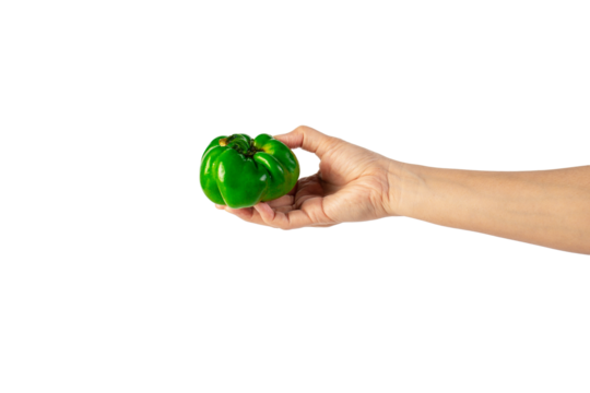 Green sweet bell pepper in hand isolated on transparent background - Powered by Adobe