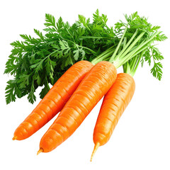 Vibrant orange carrots with lush green leaves. Fresh, healthy vegetables isolated