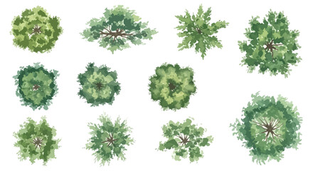 Collection of Watercolor Tree Top Views for Architectural and Landscape Design, white background © Alfarizi