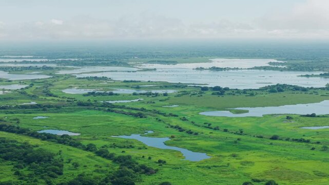 Aerial view of the expansive green wetlands and river system near mompox, colombia