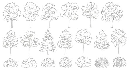 Outline Vector Collection of Trees and Bushes for Architectural Visualization, white background © Alfarizi