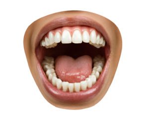 Open mouth teeth tongue lips human isolated transparency background dental oral health emotion