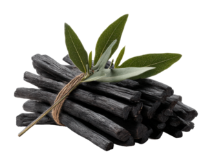 Charcoal bundles with green leaves natural high-quality isolated on transparent background
