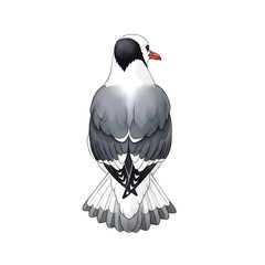 Elegant Dove Illustration - A Detailed Back View of a White-Headed Pigeon.