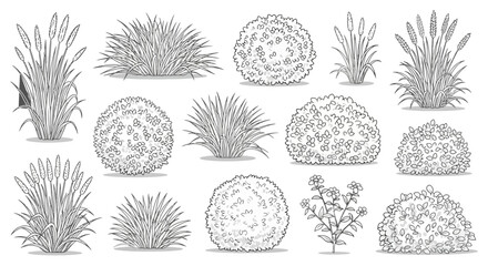 Vector illustration of various grass, shrubs, and bush drawings for landscape design, white background © Alfarizi