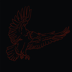 Sketch collection of eagles  Vector design using adobe illustrator..