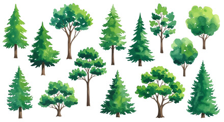 Fototapeta premium Top-down view of a collection of watercolor trees in various shades of green on a white background, white background