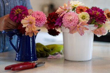 Hands arranging garden flowers into enamel pitcher indoors