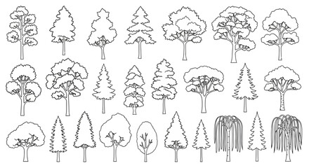 Vector illustration of various tree species in outline style on a white background, white background