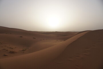 Orange sand dunes in Sahara desert