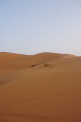 Orange sand dunes in Sahara desert