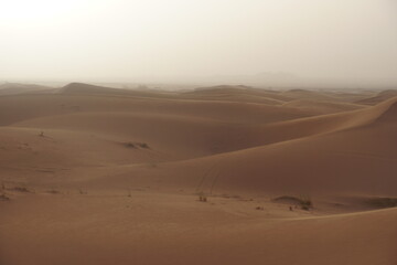 Orange sand dunes in Sahara desert