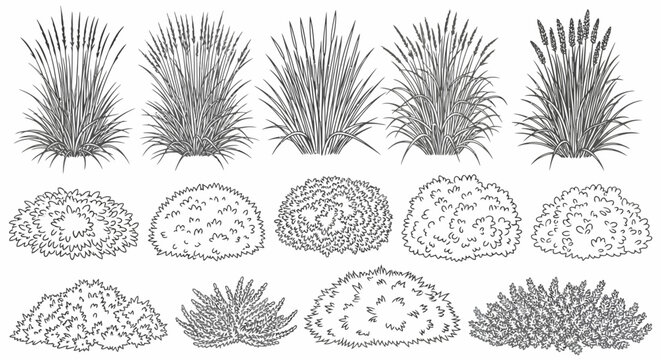 Vector illustration of various grass and bush outlines, ideal for landscape design, white background