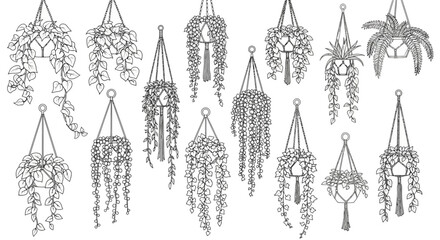 Set of decorative hanging plants and vines line art for architectural visualization, white background © Alfarizi