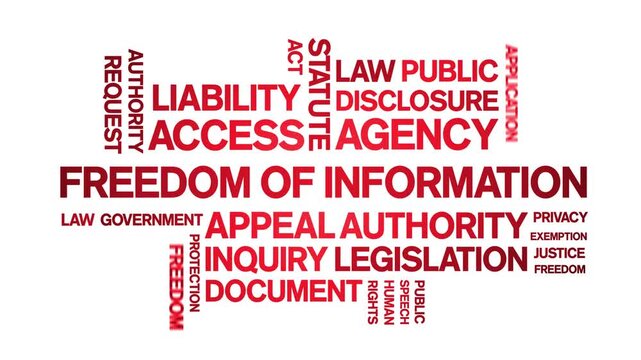 Freedom of information animated word cloud-text design animation tag kinetic typography seamless loop.