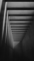 打ちっぱなしのコンクリートの柱と壁が連続する空間を、モノクロ調で捉えた建築写真。強い光が斜めから差し込み、床にドラマチックな影のストライプを作り出しており、ミニマルで静謐な雰囲気。