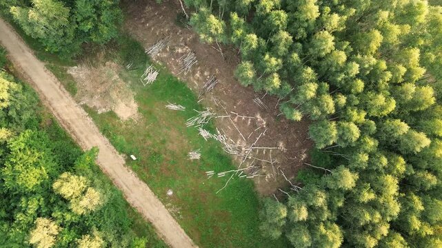 Aerial shot of cleared forest land for construction project