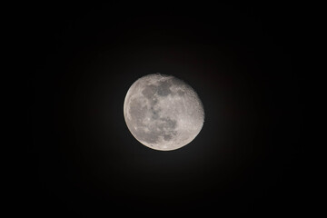 View of our moon