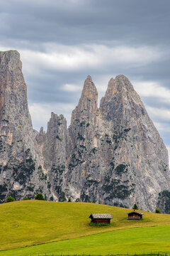 Mountain cabins in front of the peaks of the Schlern on the Seiser Alm, Dolomites, South Tyrol, Italy.