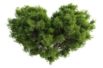Lush green tree shaped like a heart on black background leaves, Isolated On Transparent Background, Png Cut Out