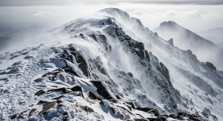 A technical line drawing study of geometric shapes like cylinders, cubes, and pyramids in perspective.