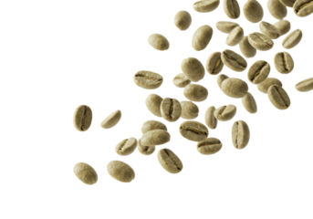Unroasted green coffee beans with raw texture falling dynamically, motion blurred, on a transparent studio background with copy space, concept for beverage advertising