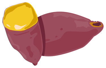 Sweet potato food vector representing healthy root carbohydrate with natural sweetness.