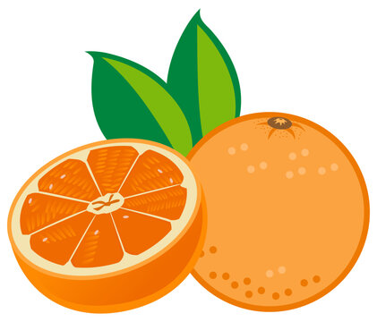 Orange food vector showing juicy citrus rich in vitamin C for healthy diet designs.