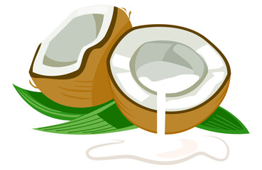 Coconut oil food vector showing tropical healthy fat used in cooking and skincare.