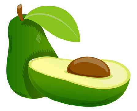 Avocado food vector rich in healthy fat and nutrition, ideal for organic diet concept.