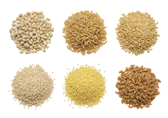 Six distinct, small, neatly arranged piles of pearl barley, brown rice, bulgur wheat, quinoa, millet, spelt on a transparent flat lay background with copy space. Concept of wholesome grains