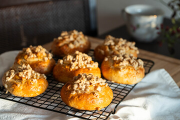 Freshly baked homemade traditional Czech Moravian buns (kolače) with cottage cheese , apple and crumbs on cooling rake.