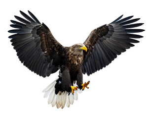 Obraz premium Majestic Large Eagle Soaring with Fully Spread Wings in the Air, Isolated on Transparent Background, PNG